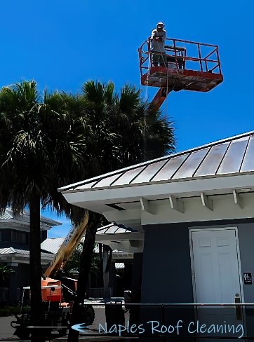 Naples Metal Roof Cleaning