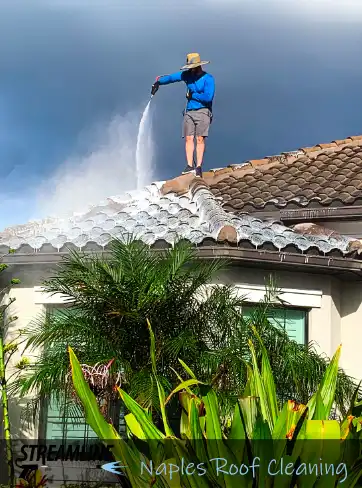 Naples Roof Biocide Treatment